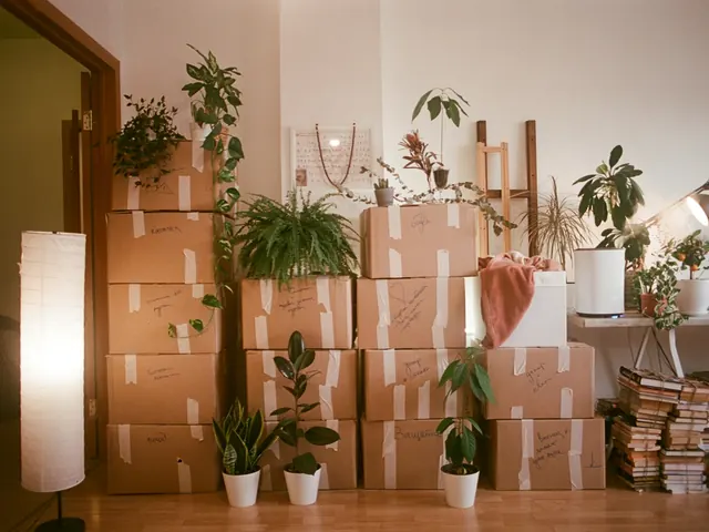 Move-In / Move-Out Cleaning