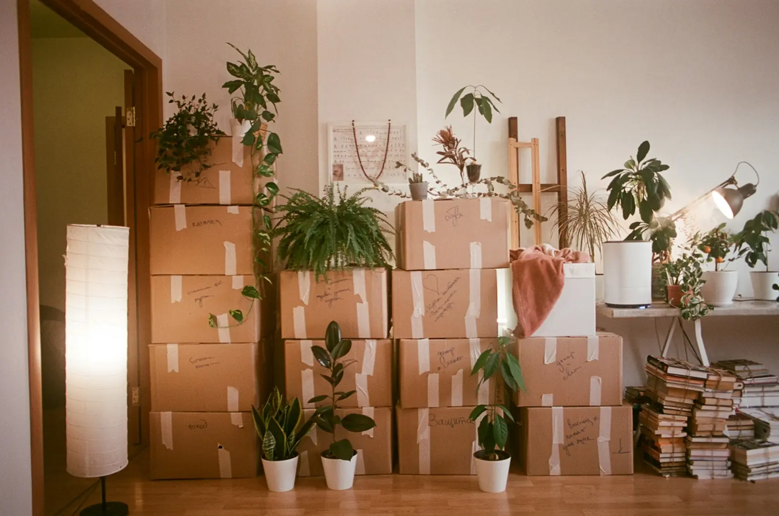Move-In / Move-Out Cleaning by Articles Cleaning Services